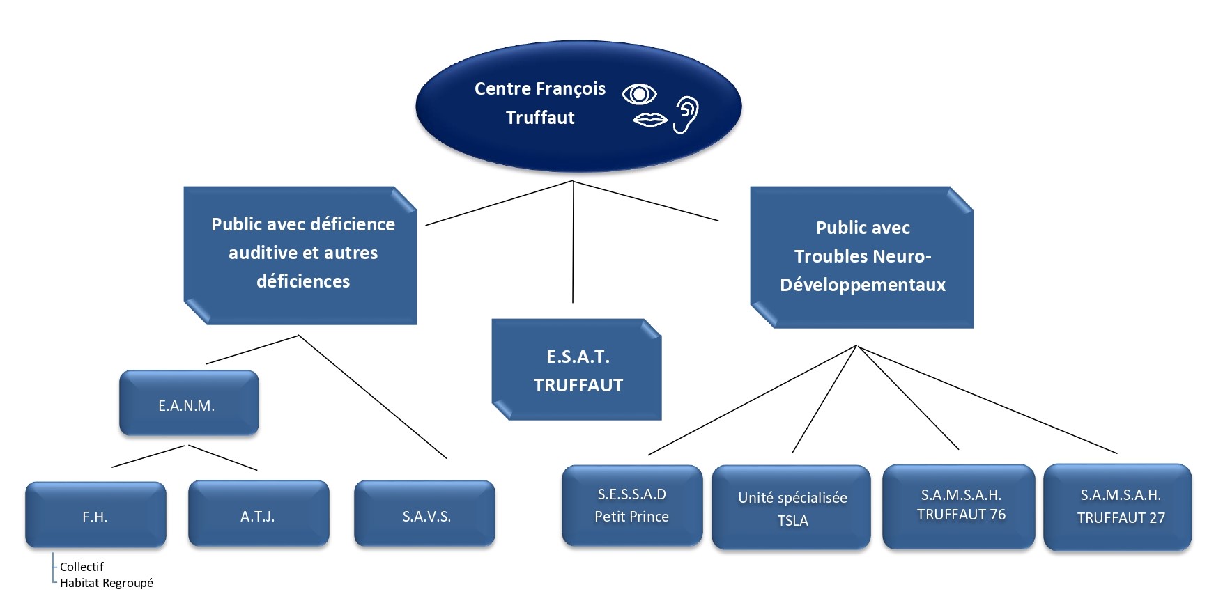 SCHEMA CFT 2023 page 0001 1